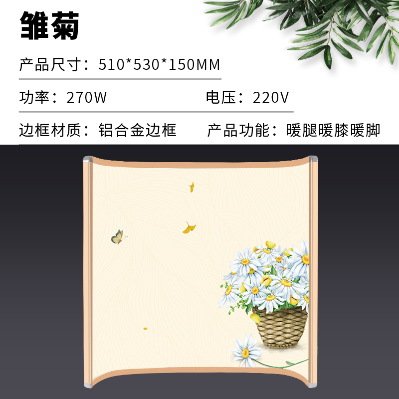 雏菊.jpg