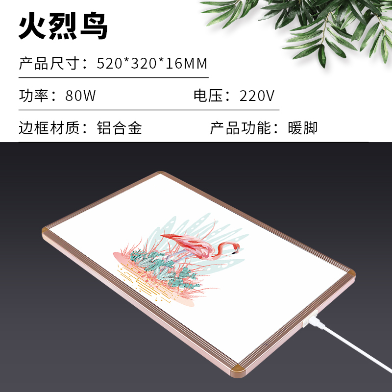 火烈鸟.jpg